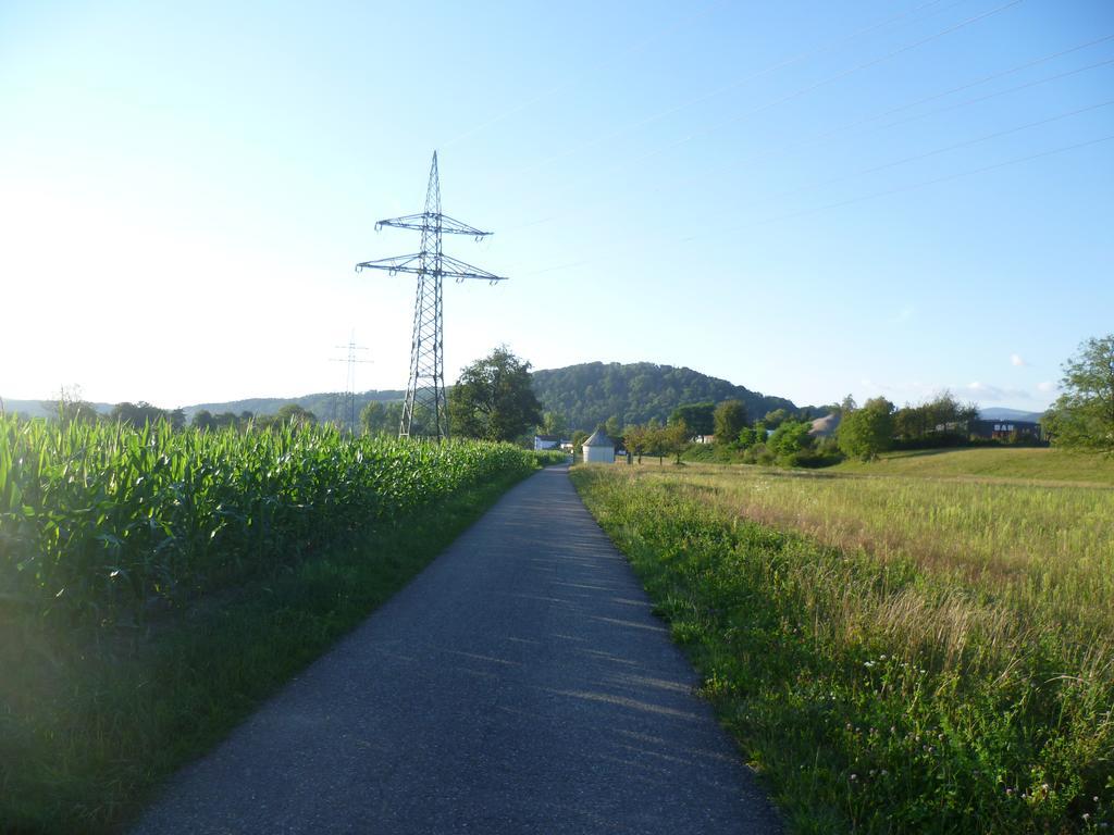 Apartamento Storchennest Bad Säckingen Exterior foto