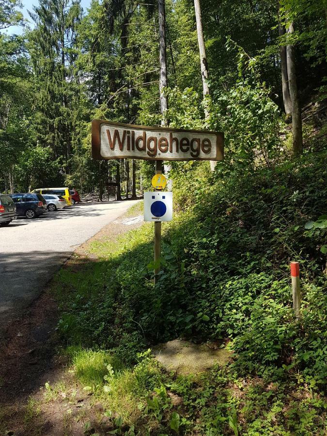 Apartamento Storchennest Bad Säckingen Exterior foto