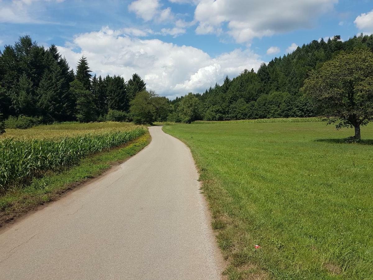 Apartamento Storchennest Bad Säckingen Exterior foto