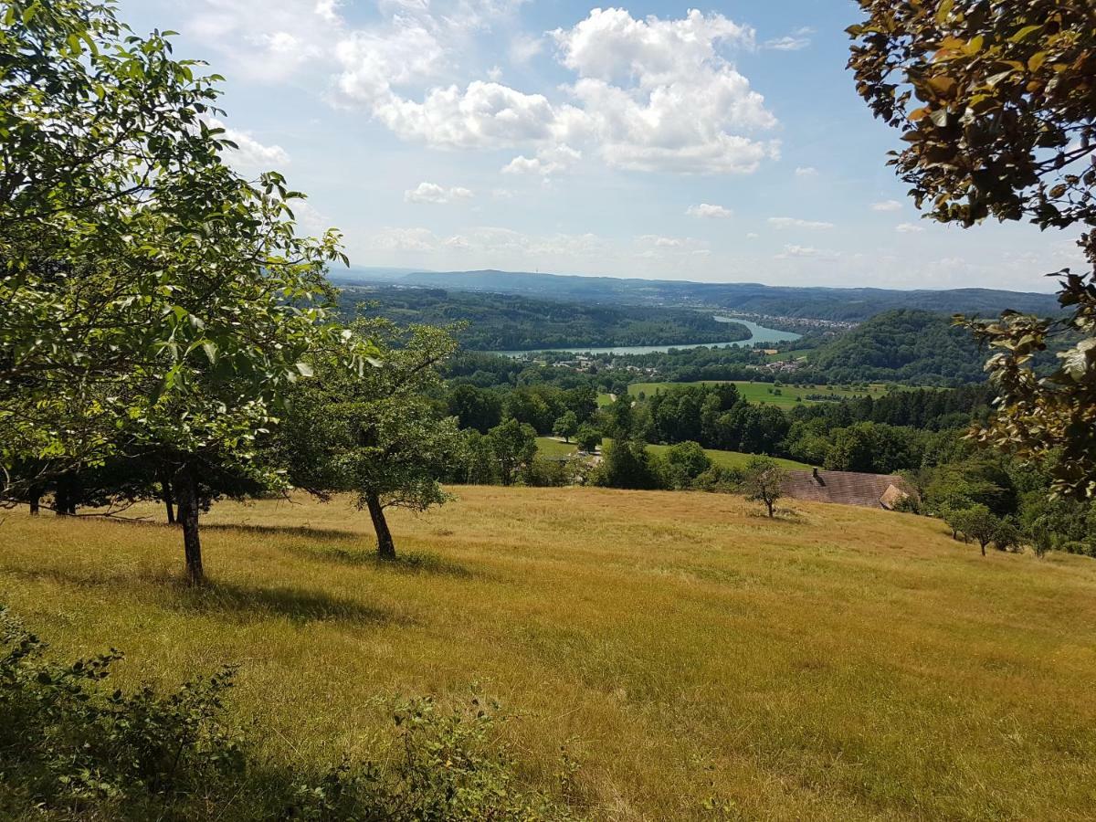 Apartamento Storchennest Bad Säckingen Exterior foto